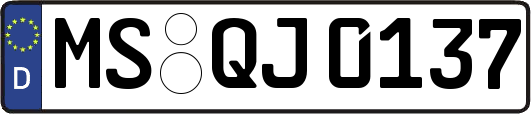 MS-QJ0137