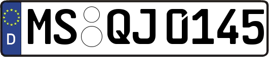 MS-QJ0145