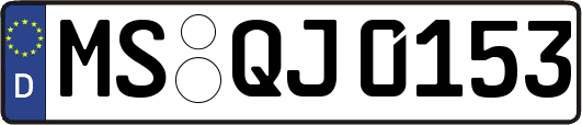 MS-QJ0153