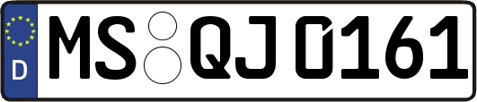 MS-QJ0161