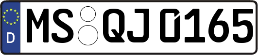 MS-QJ0165