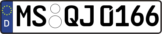 MS-QJ0166