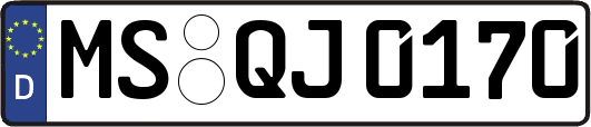 MS-QJ0170