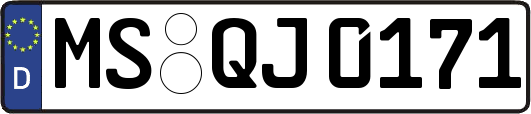 MS-QJ0171