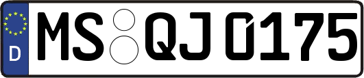 MS-QJ0175
