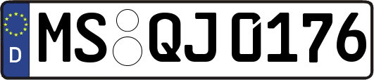 MS-QJ0176