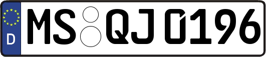 MS-QJ0196