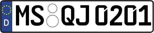MS-QJ0201