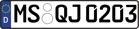 MS-QJ0203