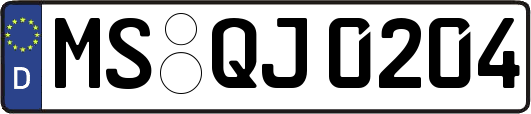 MS-QJ0204