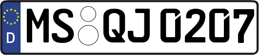 MS-QJ0207