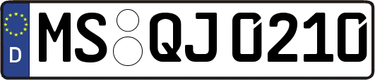 MS-QJ0210