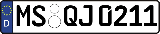 MS-QJ0211