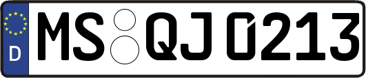 MS-QJ0213