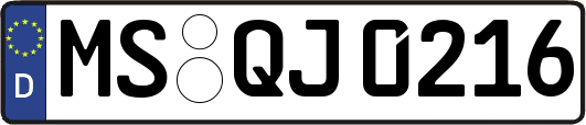 MS-QJ0216