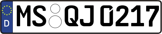 MS-QJ0217