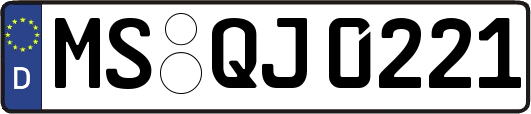 MS-QJ0221