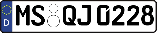 MS-QJ0228