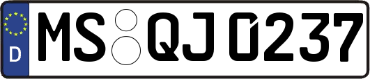 MS-QJ0237