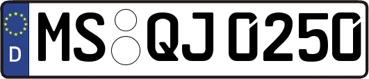 MS-QJ0250
