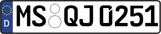MS-QJ0251