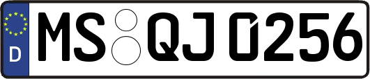 MS-QJ0256