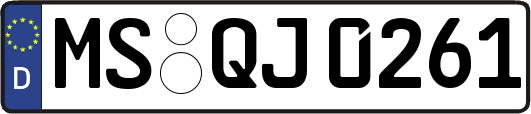 MS-QJ0261