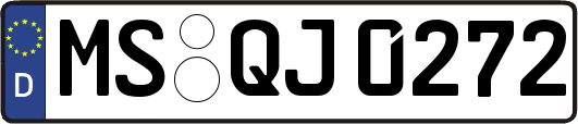 MS-QJ0272