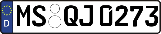 MS-QJ0273