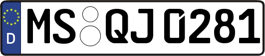 MS-QJ0281