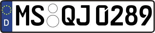 MS-QJ0289