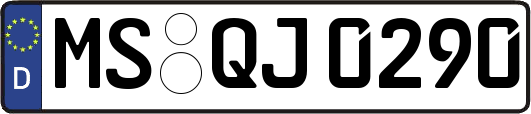 MS-QJ0290