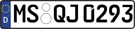 MS-QJ0293