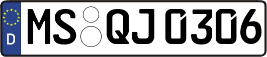 MS-QJ0306
