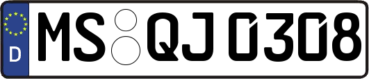 MS-QJ0308