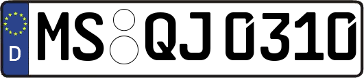 MS-QJ0310
