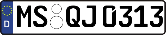 MS-QJ0313