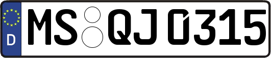 MS-QJ0315