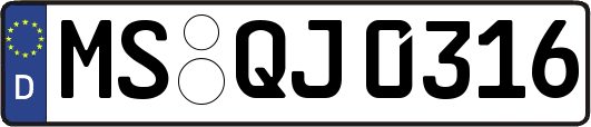 MS-QJ0316