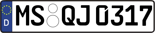 MS-QJ0317