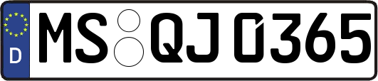 MS-QJ0365