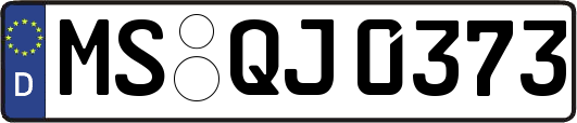 MS-QJ0373