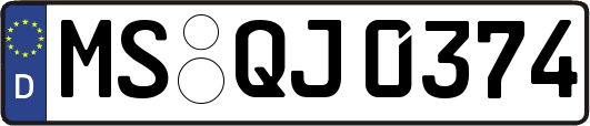 MS-QJ0374