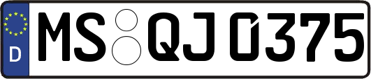 MS-QJ0375