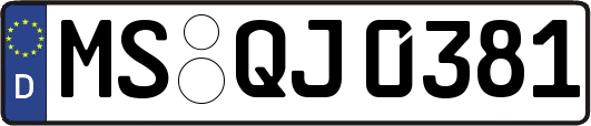 MS-QJ0381