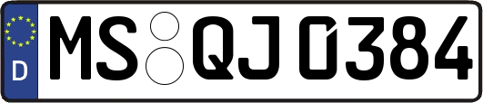 MS-QJ0384