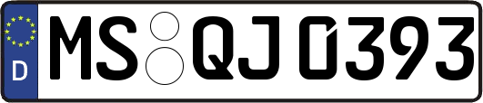 MS-QJ0393