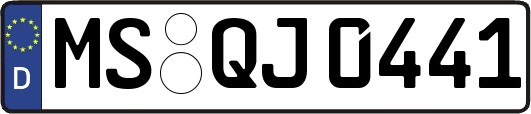 MS-QJ0441