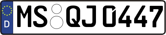 MS-QJ0447