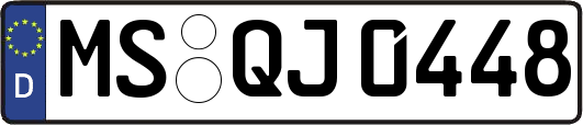 MS-QJ0448